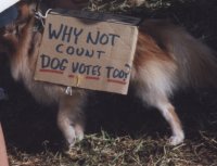 [Picture: Dog with sign view 1]