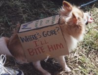 [Picture: Dog with sign view 2]